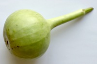 Bottle Gourd