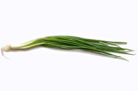 Scallions