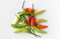 Small Chilies