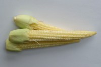 Baby Corn