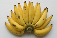 Bananas