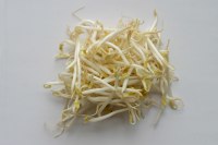 Bean Sprouts