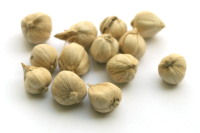 Cardamom