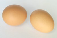 Chicken Eggs