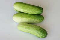 Cucumber