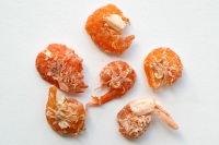 Dried Shrimp