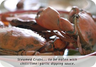 Steamed Crabs