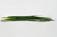 Garlic Chives