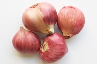 Shallots