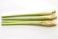 Lemongrass